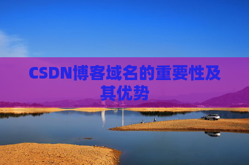 CSDN博客域名的重要性及其优势